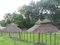 20060807-Shenyang - Neolithic Museum/0